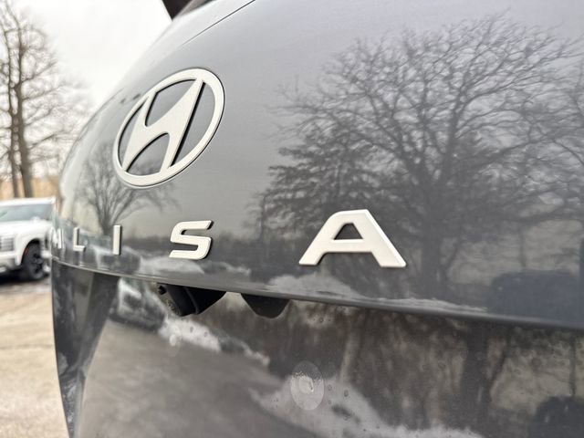 New 2026 Hyundai Palisade Calligraphy AWD/4WD image 7