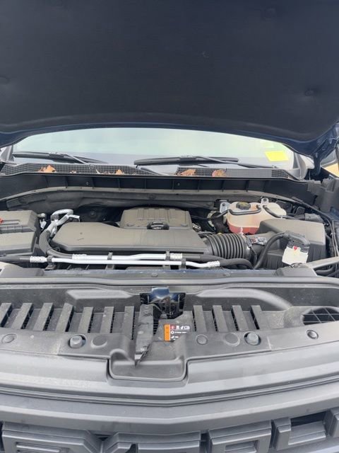 Used 2024 Chevrolet Silverado 1500 Custom image 11