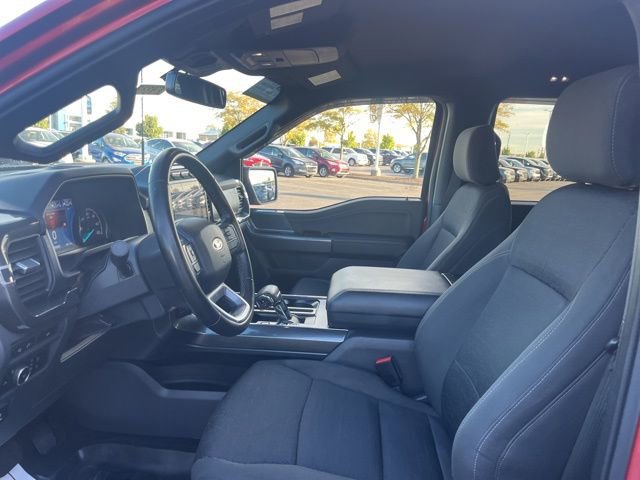 Used 2023 Ford F150 XLT w/ Equipment Group 302A High image 22