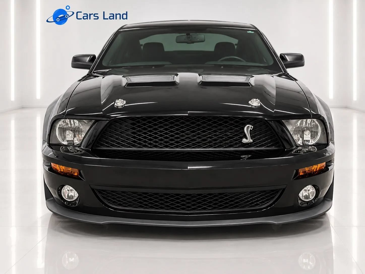 Used 2008 Ford Mustang Shelby GT500 RWD image 7