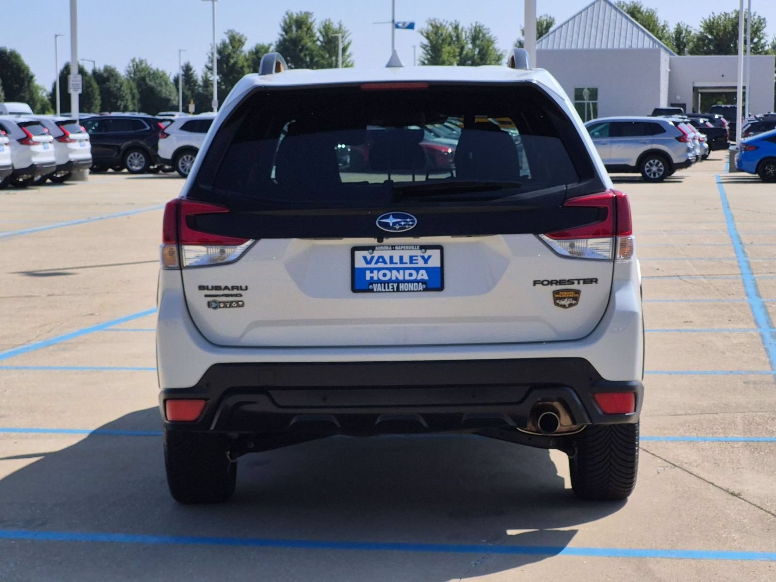Used 2022 Subaru Forester Wilderness AWD/4WD image 7