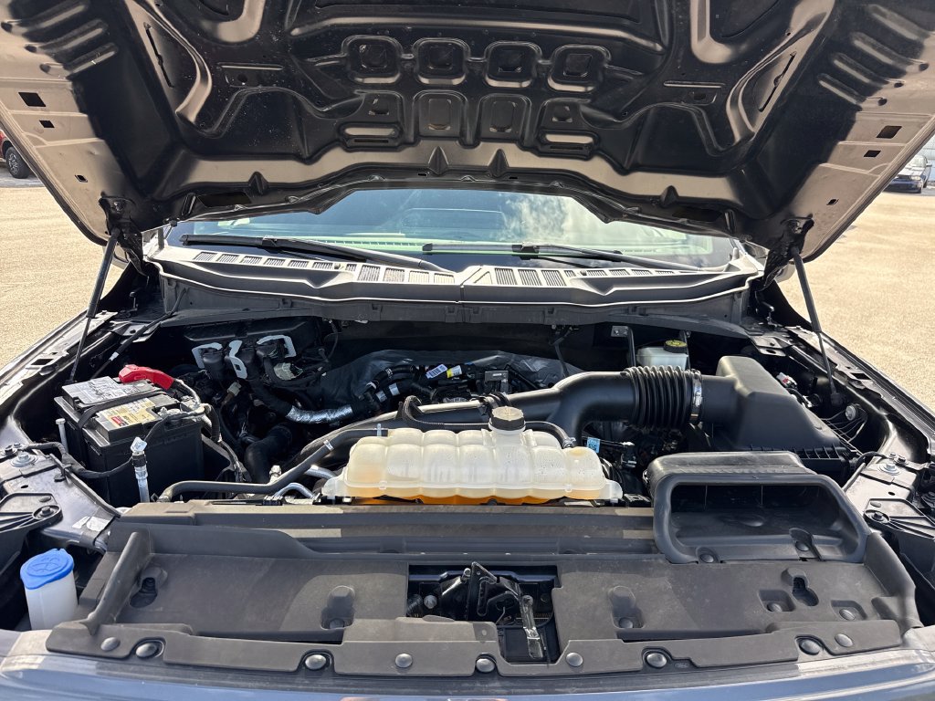 Used 2024 Ford F150 STX RWD image 28