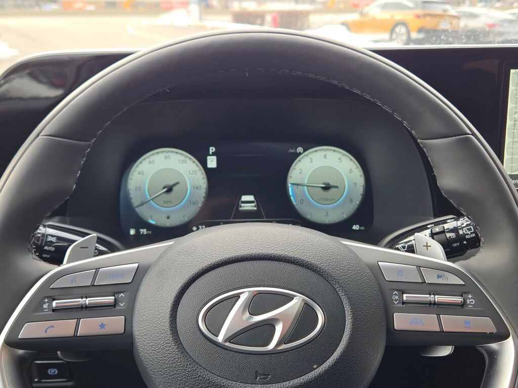 Used 2025 Hyundai Palisade Calligraphy image 40