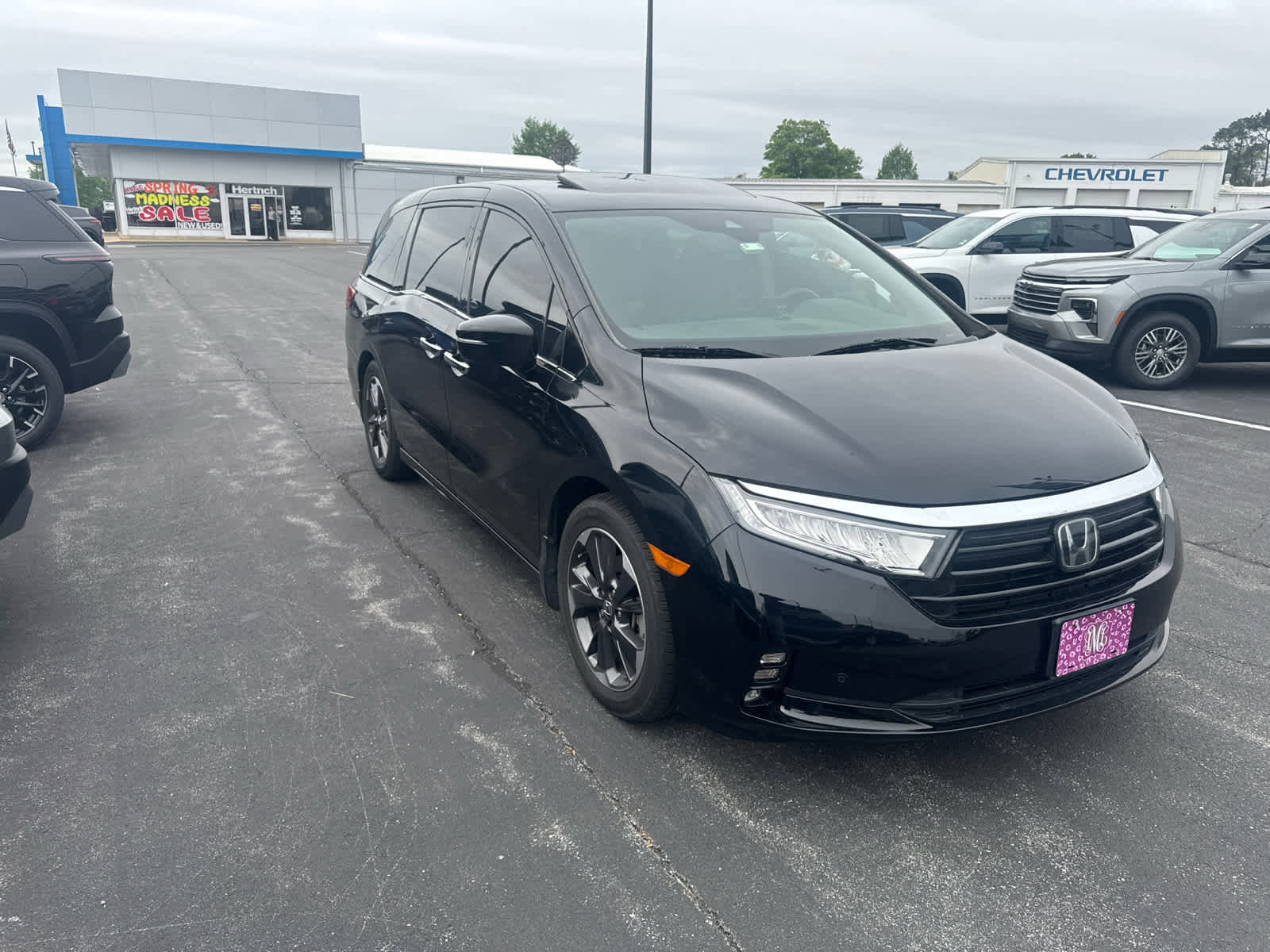 Used 2022 Honda Odyssey Elite image 2