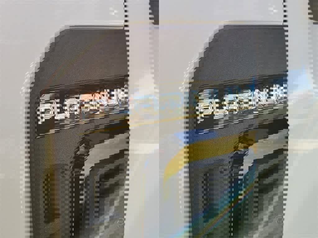 New 2025 Ford F250 Platinum image 5