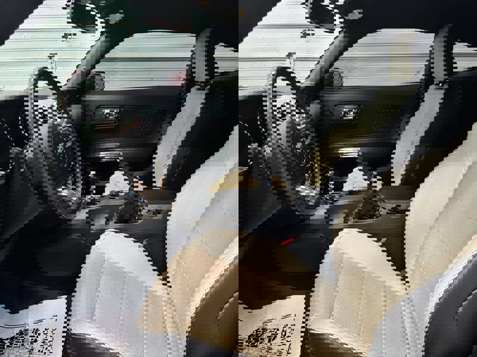 Used 2015 Ford Mustang GT Premium w/ Equipment Group 401A image 12