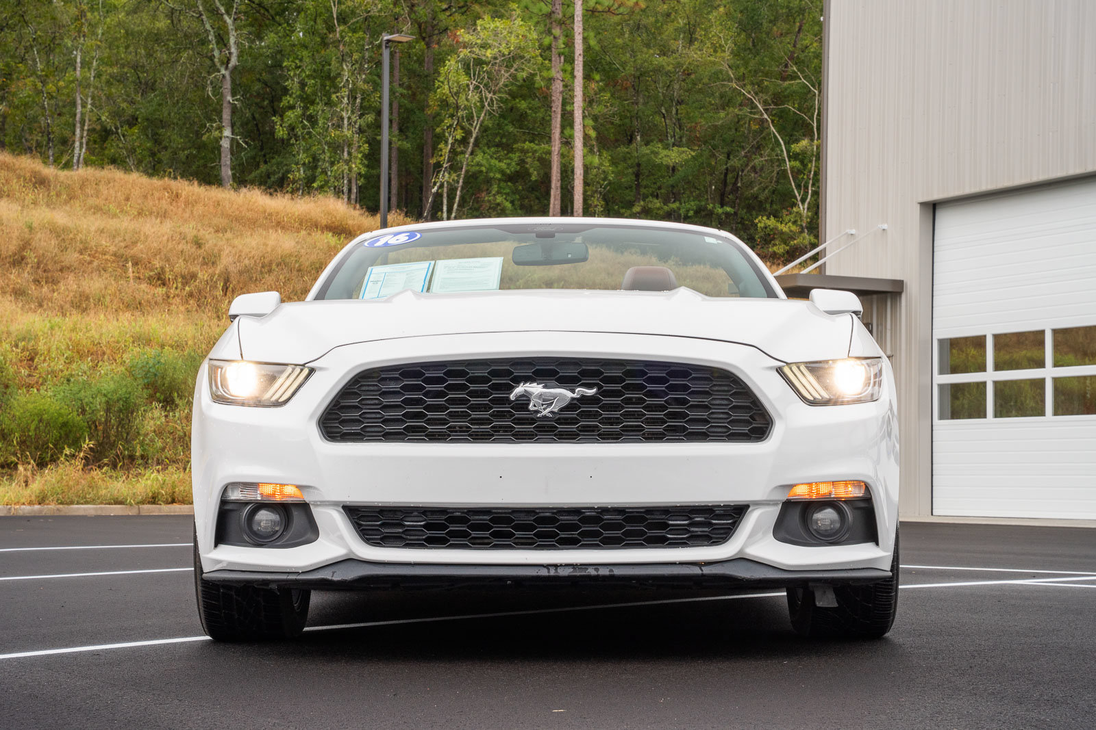 Used 2016 Ford Mustang Premium RWD image 4
