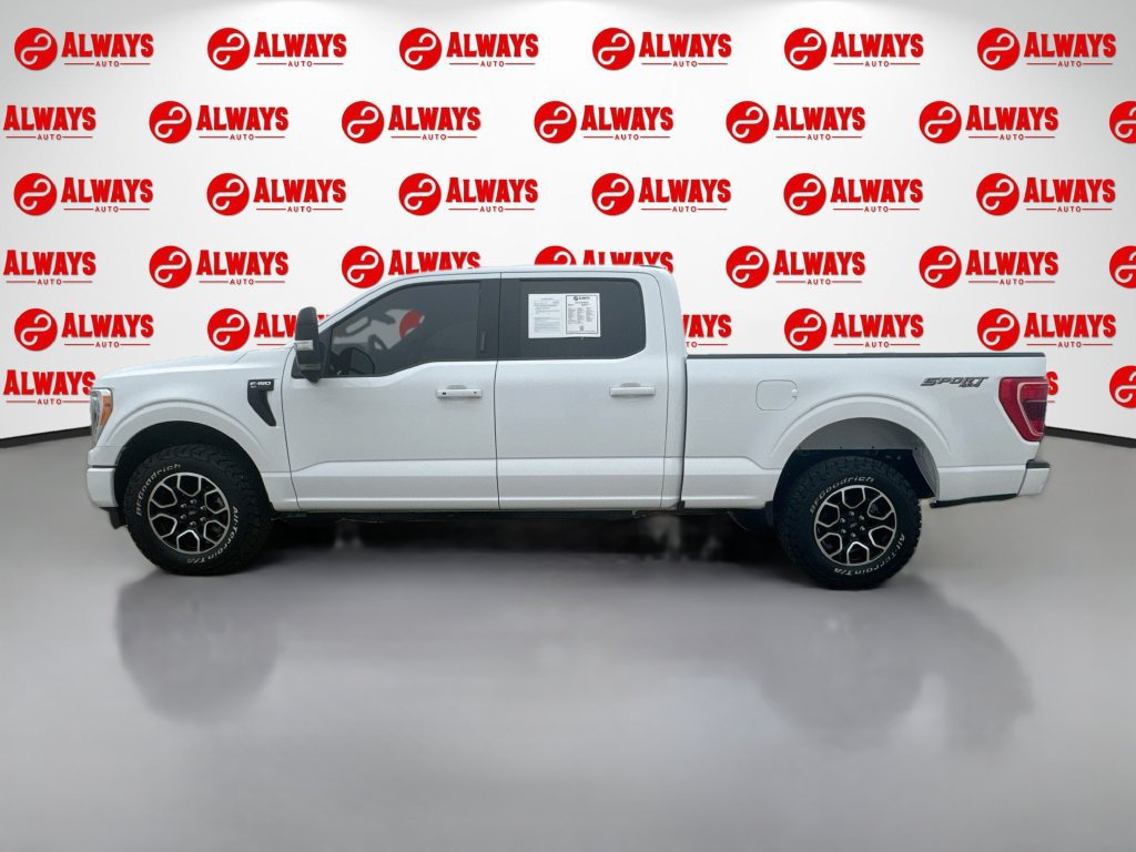 Used 2023 Ford F150 XLT w/ Equipment Group 302A High AWD/4WD image 9