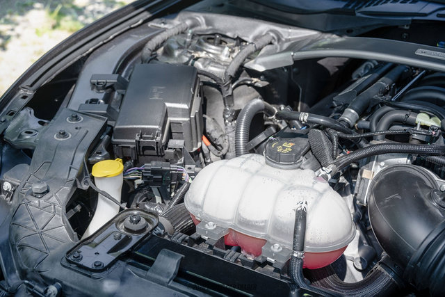Used 2015 Ford Mustang Shelby GT350 RWD image 20