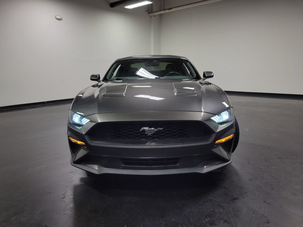Used 2019 Ford Mustang Coupe RWD image 3