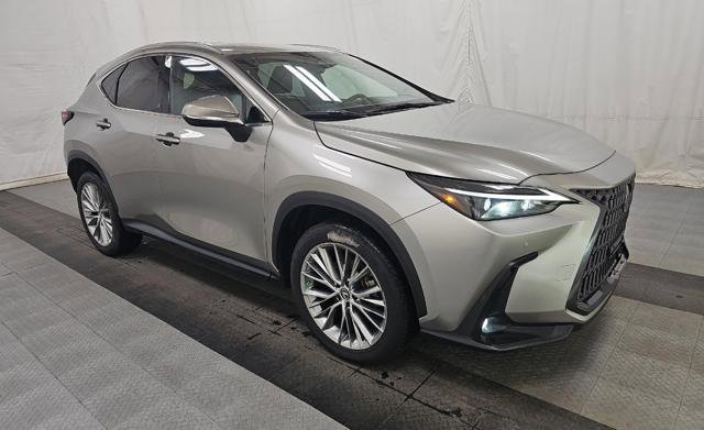 Used 2022 Lexus NX 350h AWD image 3