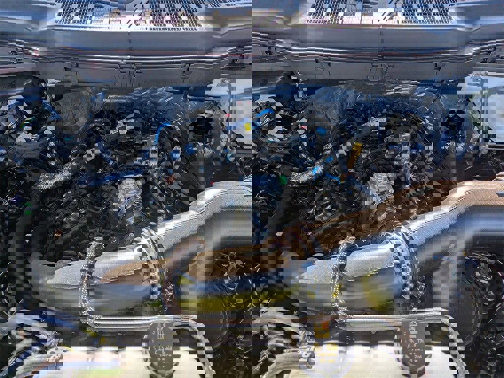 New 2025 Ford F150 STX w/ STX Black Appearance Package image 22