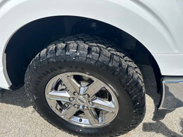 Used 2025 Ford F150 XLT w/ Equipment Group 301A Standard AWD/4WD image 13