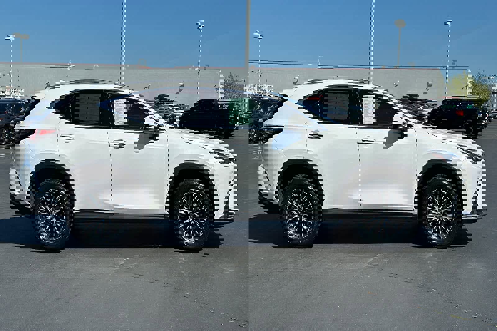 Used 2023 Lexus NX 350h Premium image 6