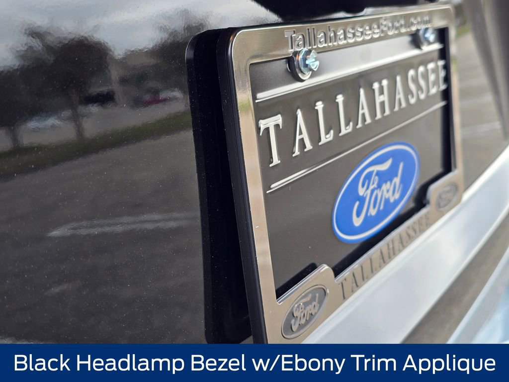 New 2025 Ford Expedition Platinum w/ Stealth Appearance Package image 18