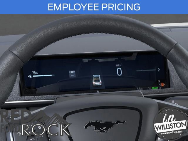 New 2025 Ford Mustang Mach-E Premium AWD/4WD image 13