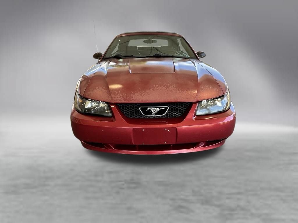 Used 2003 Ford Mustang Convertible RWD image 8