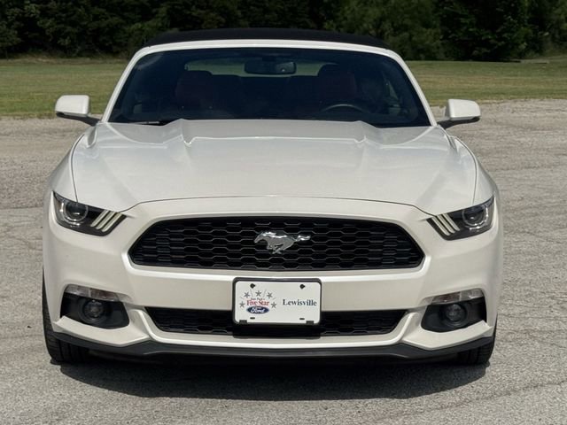 Used 2017 Ford Mustang Premium w/ Equipment Group 201A RWD image 8