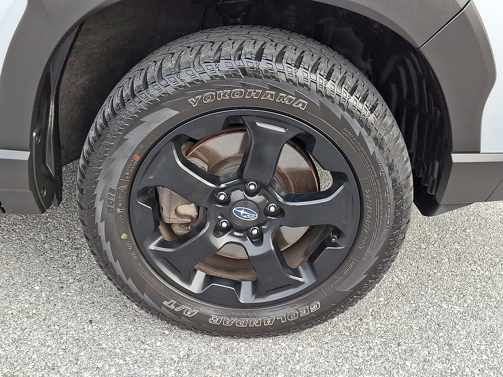 Certified 2023 Subaru Forester Wilderness image 8