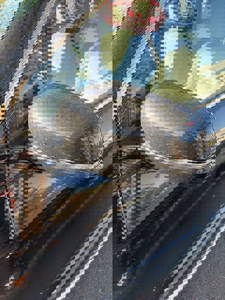 Used 2016 Honda Pilot Elite image 14