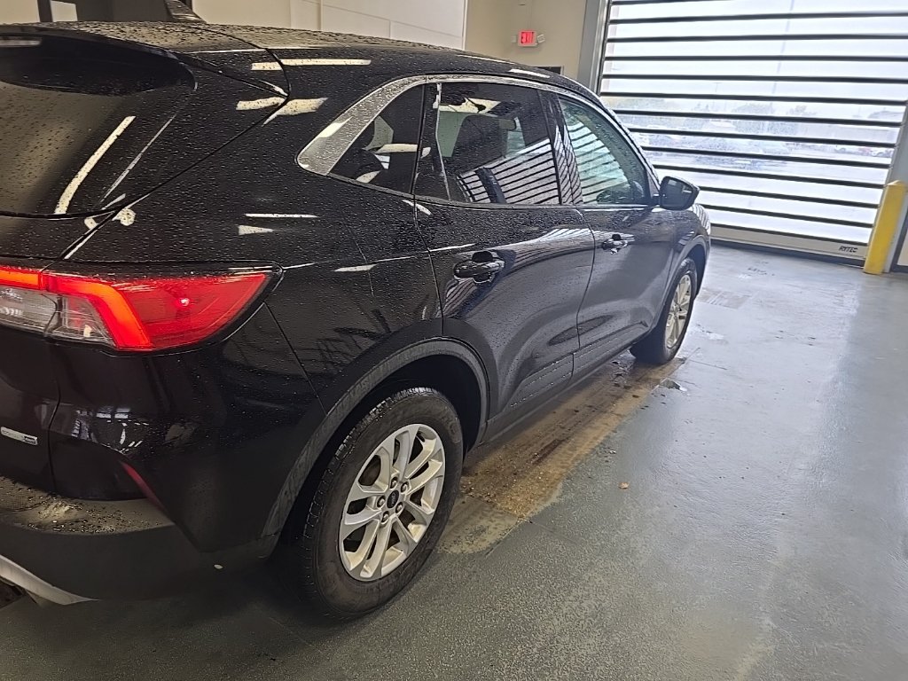 Used 2020 Ford Escape SE AWD/4WD image 3