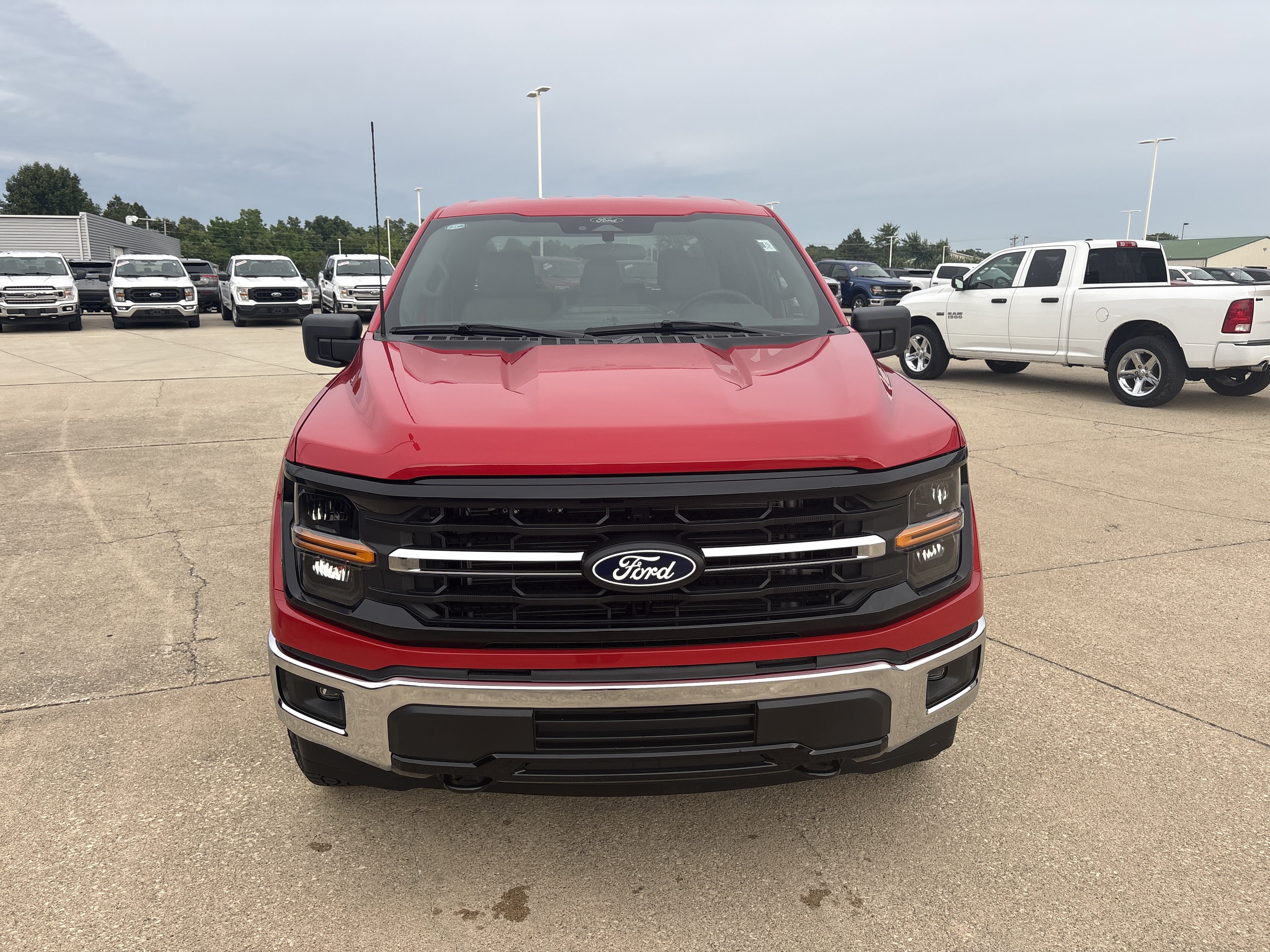 Used 2025 Ford F150 XLT w/ Equipment Group 301A Standard AWD/4WD image 2
