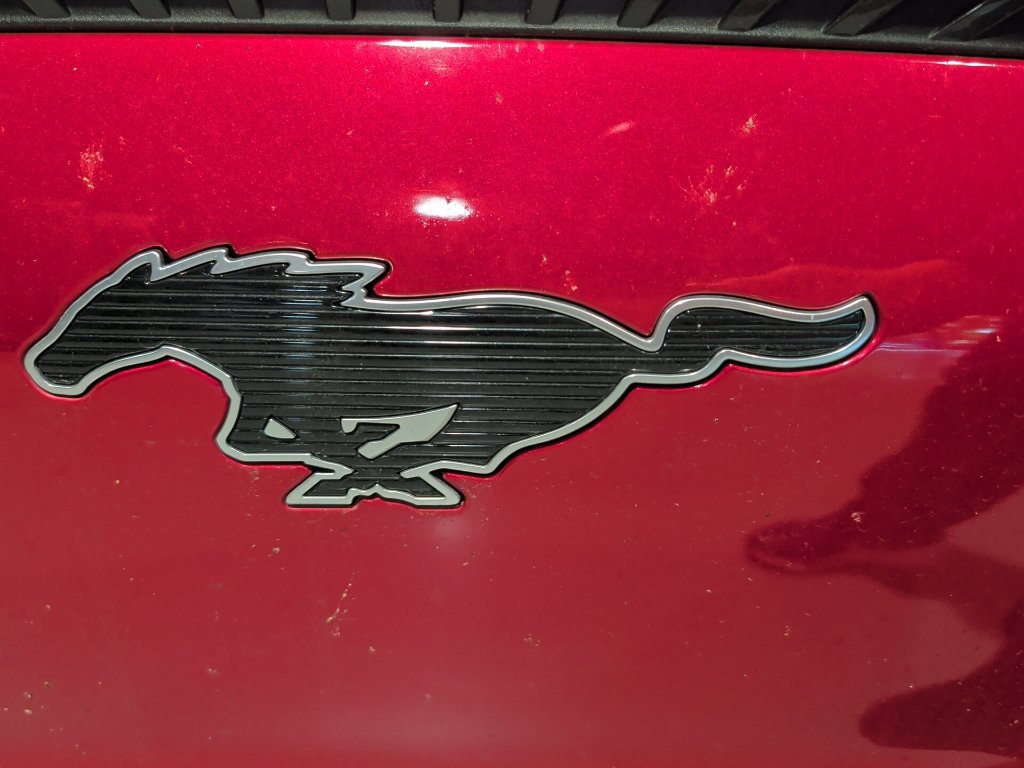 Used 2021 Ford Mustang Mach-E Select AWD/4WD image 9
