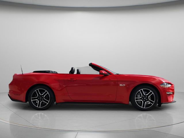 Used 2019 Ford Mustang GT Premium w/ Equipment Group 401A RWD image 5