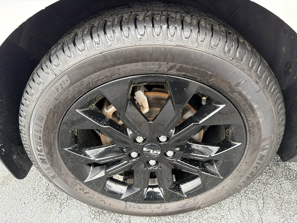 Used 2022 Kia Carnival SX Prestige image 16