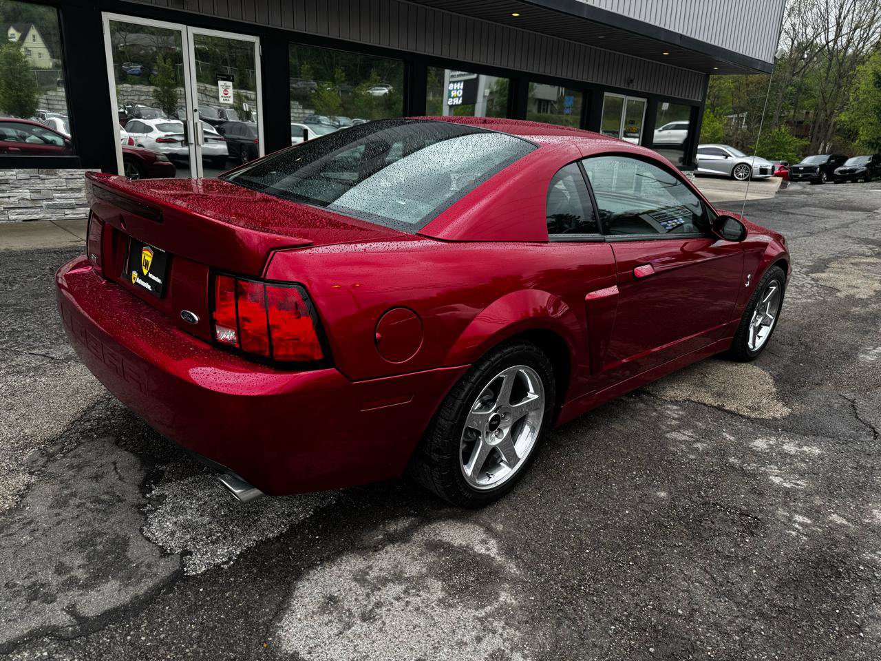 Used 2004 Ford Mustang Cobra RWD image 4