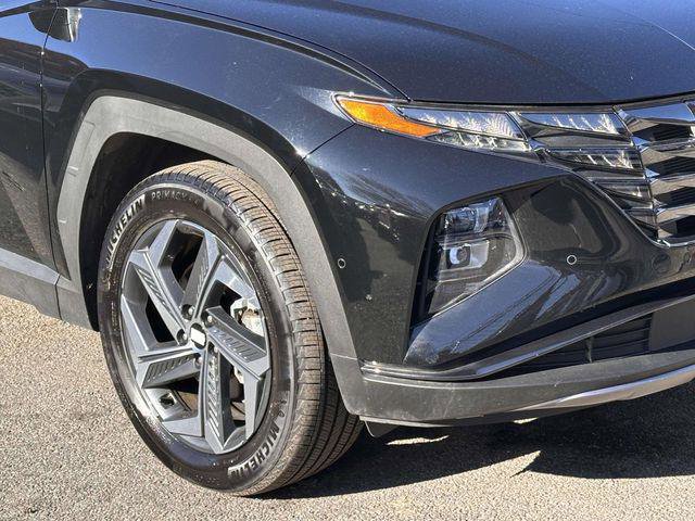 Certified 2024 Hyundai Tucson Limited image 9