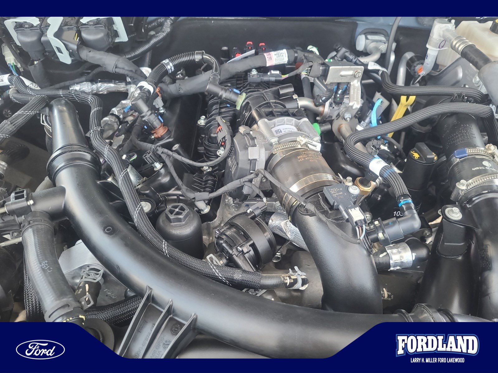 Used 2023 Ford Bronco Outer Banks AWD/4WD image 22