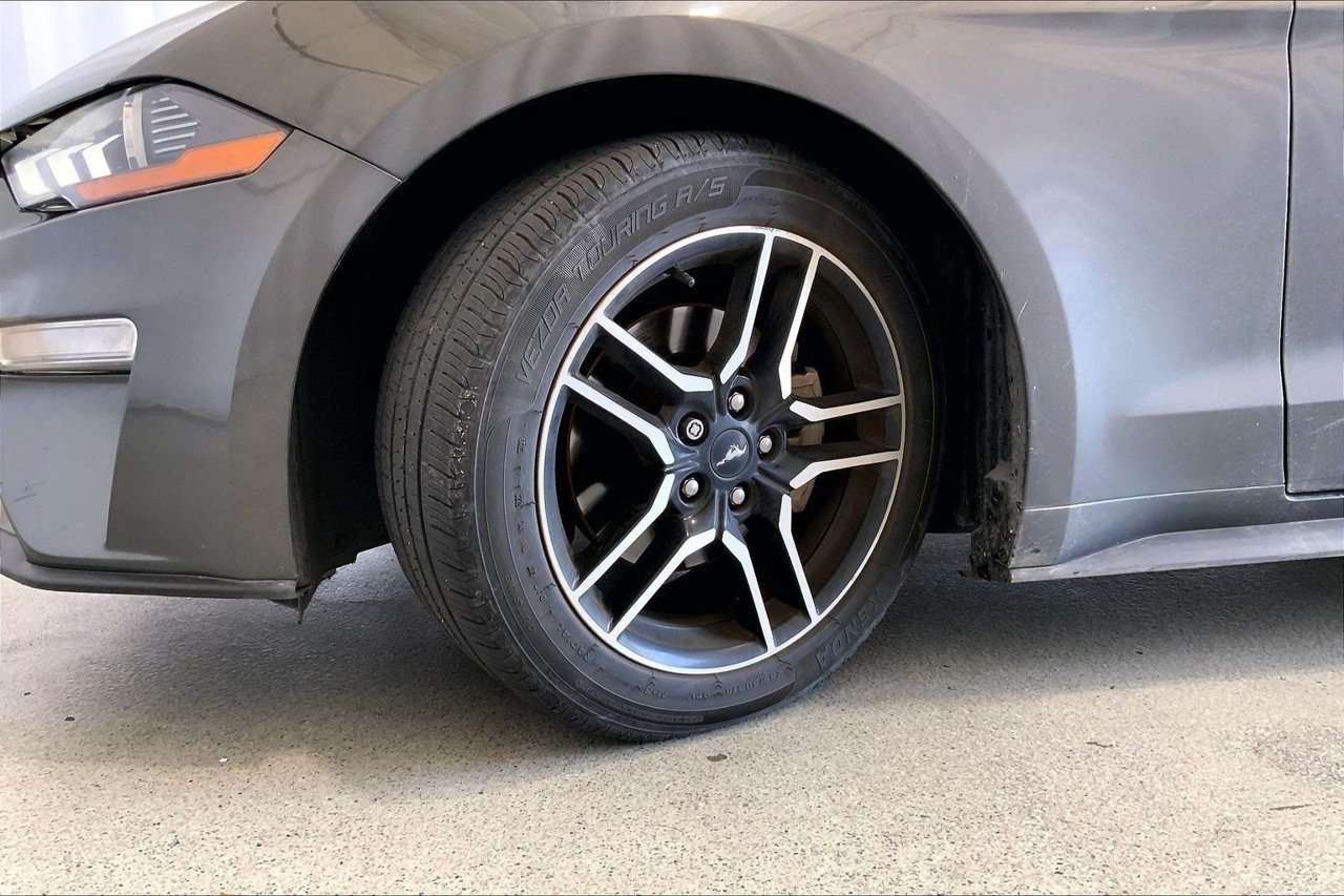 Used 2019 Ford Mustang Premium RWD image 20