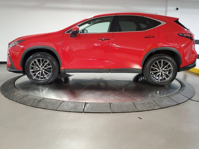 Used 2024 Lexus NX 350h AWD w/ Cold Area Package image 6