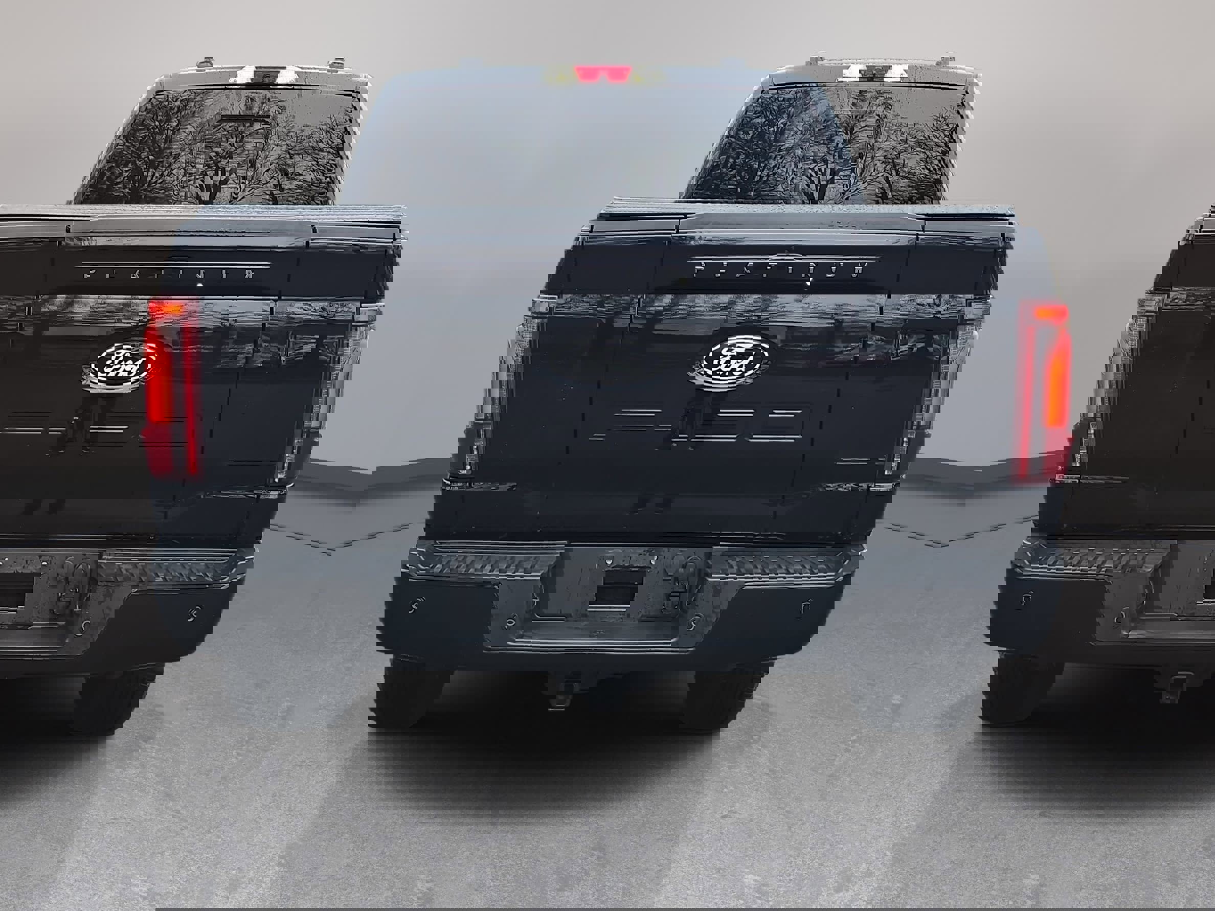 Used 2025 Ford F150 Platinum w/ FX4 Off-Road Package image 6