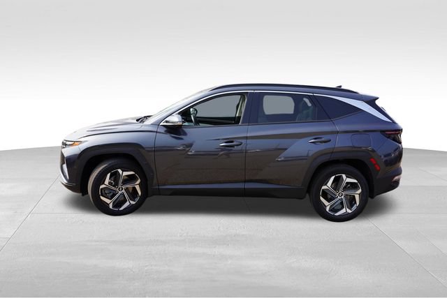 Used 2023 Hyundai Tucson Limited AWD/4WD image 9