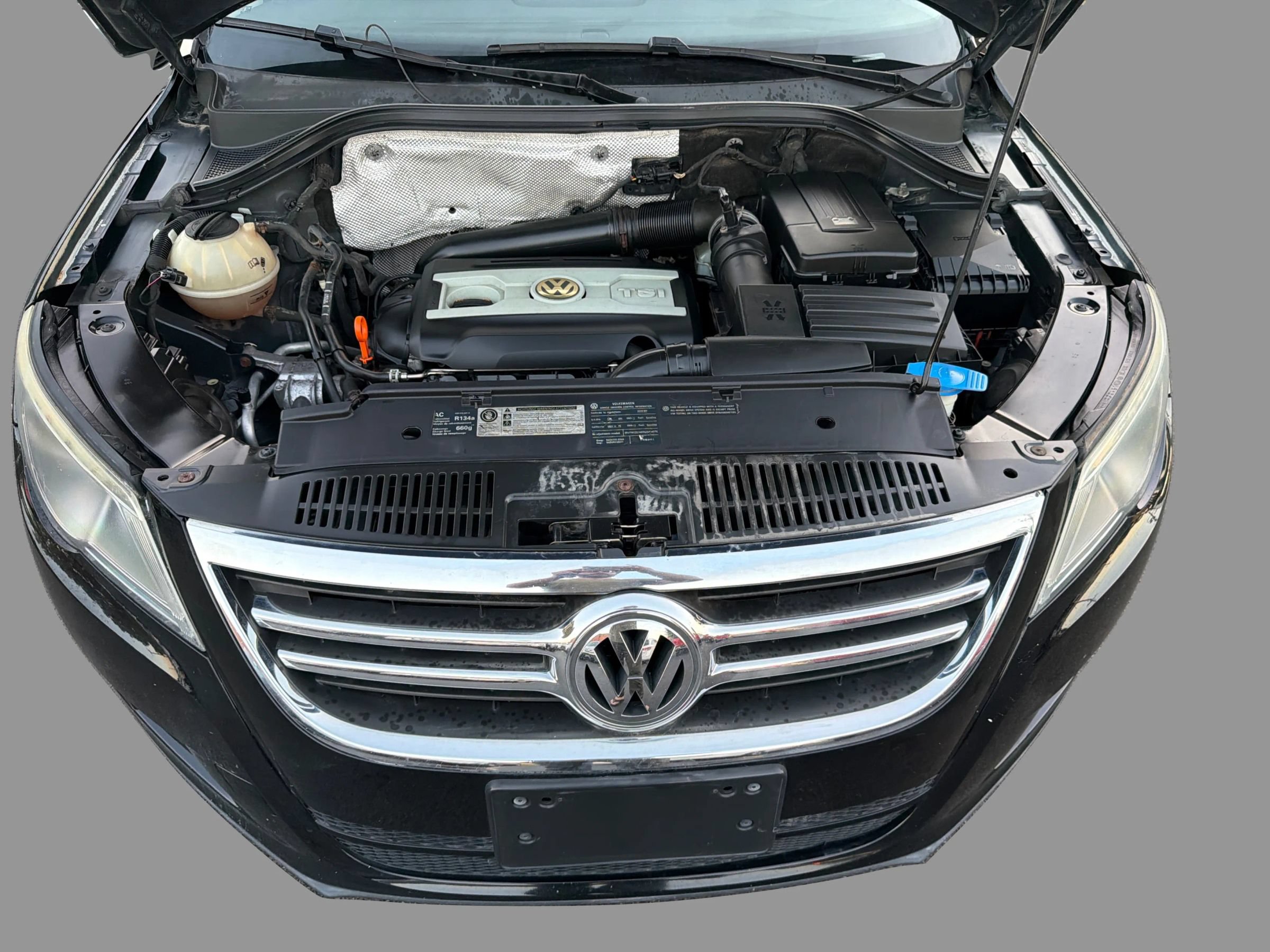 Used 2009 Volkswagen Tiguan SE AWD/4WD image 13