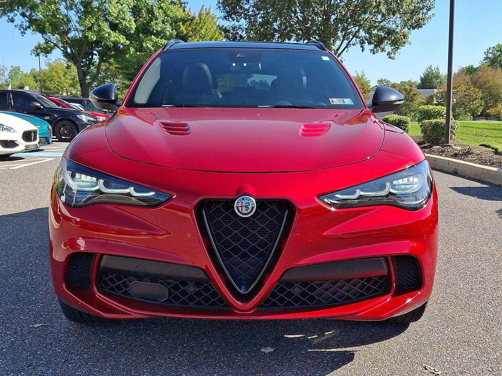 Used 2024 Alfa Romeo Stelvio Quadrifoglio AWD/4WD image 2