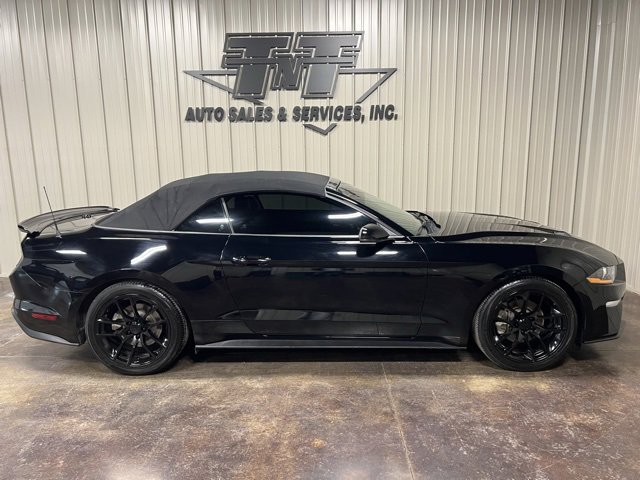 Used 2019 Ford Mustang Premium w/ Equipment Group 201A image 8