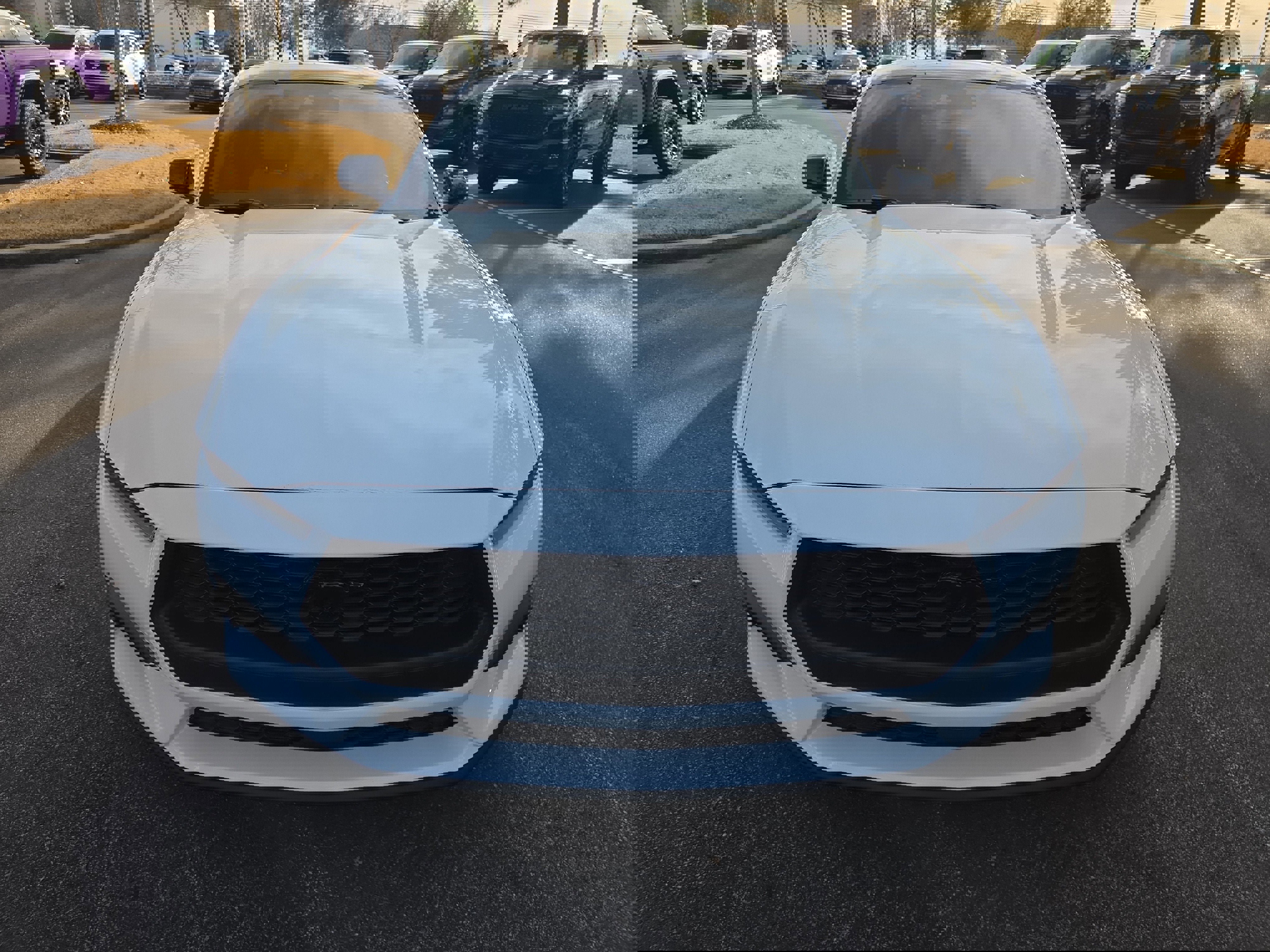 Used 2024 Ford Mustang Premium w/ Mustang Nite Pony Package image 8