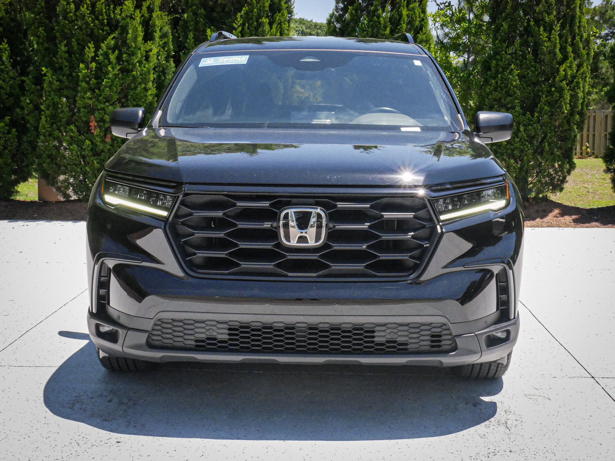 Certified 2025 Honda Pilot Sport image 3