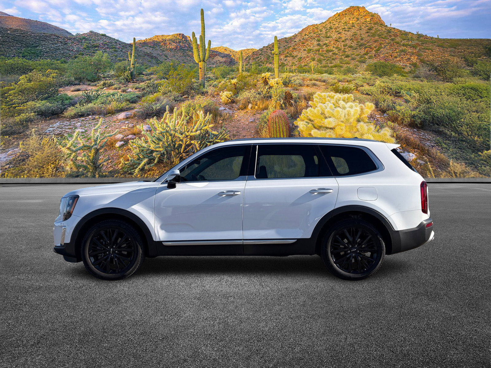 Certified 2022 Kia Telluride SX image 7