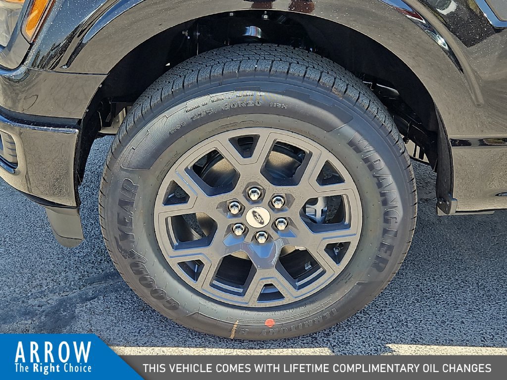 New 2026 Ford F150 STX w/ Equipment Group 200A RWD image 17
