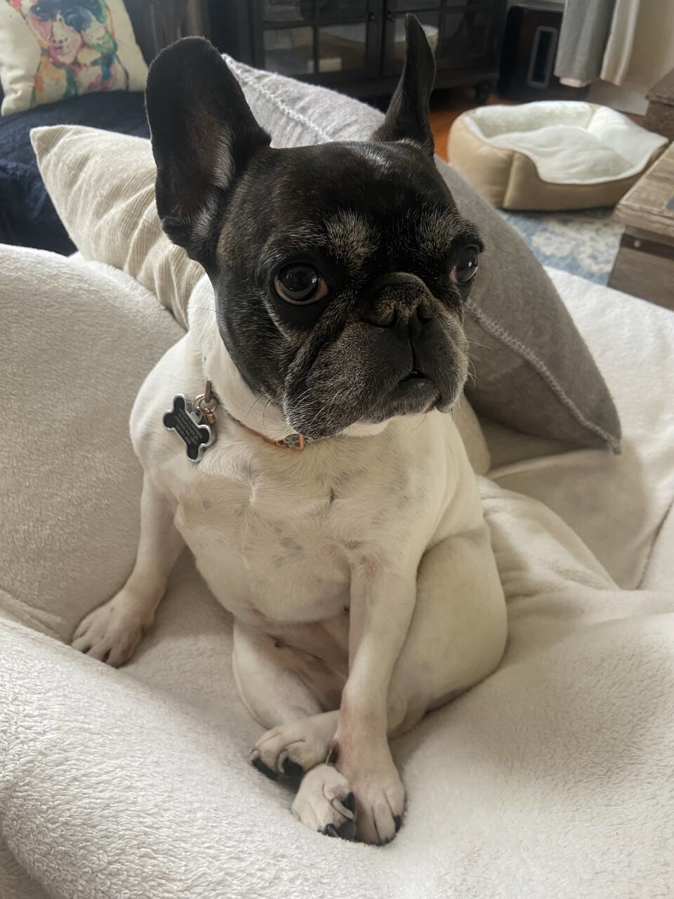 Used 2015 Ford F150 XLT w/ Equipment Group 301A Mid AWD/4WD image 48