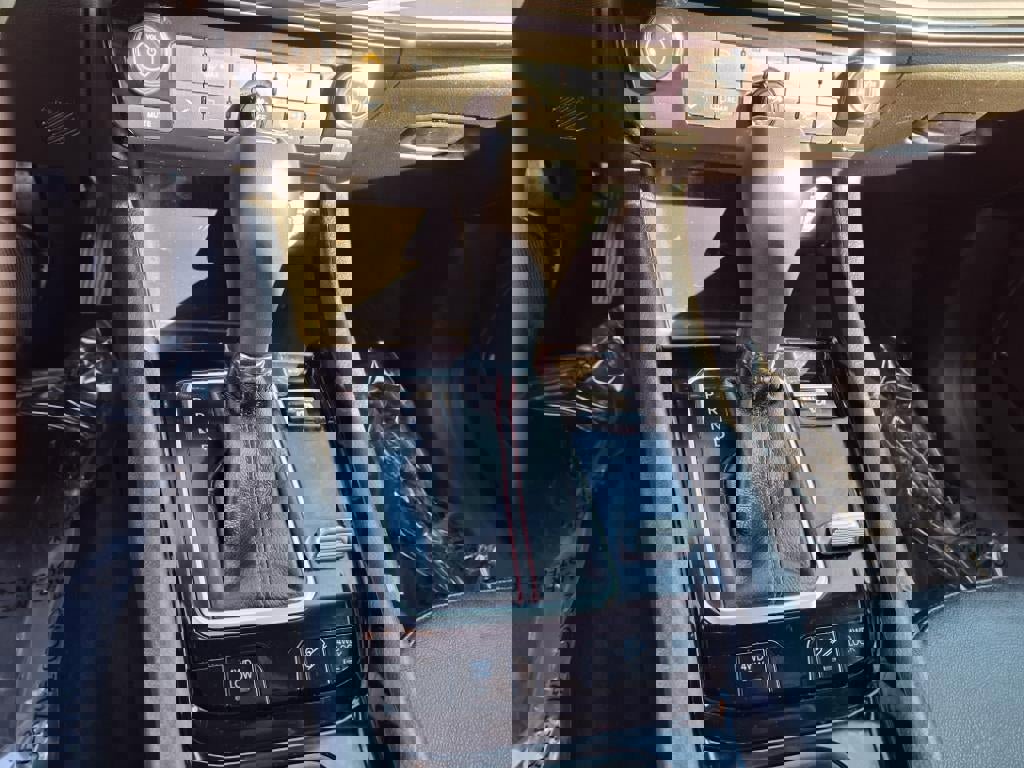 Used 2024 Jeep Compass Trailhawk image 17