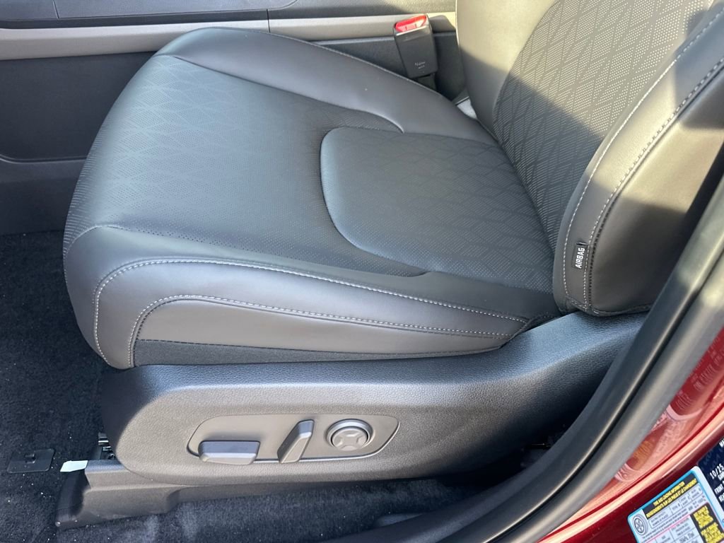 New 2026 Kia Carnival image 10