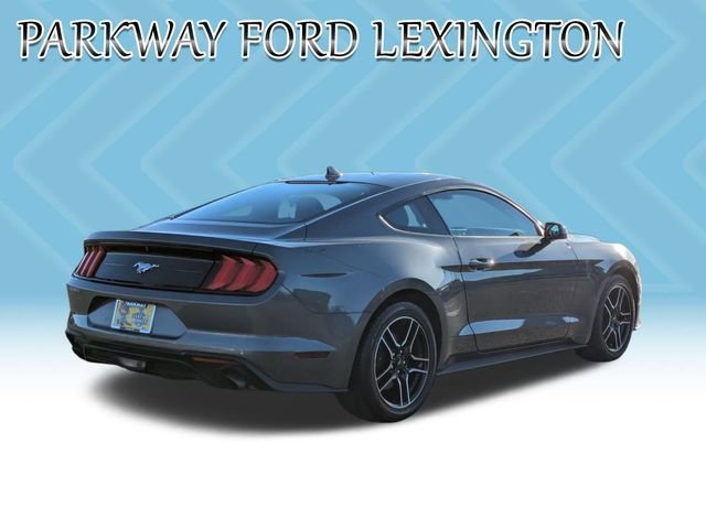 Used 2022 Ford Mustang Coupe w/ Equipment Group 101A image 5