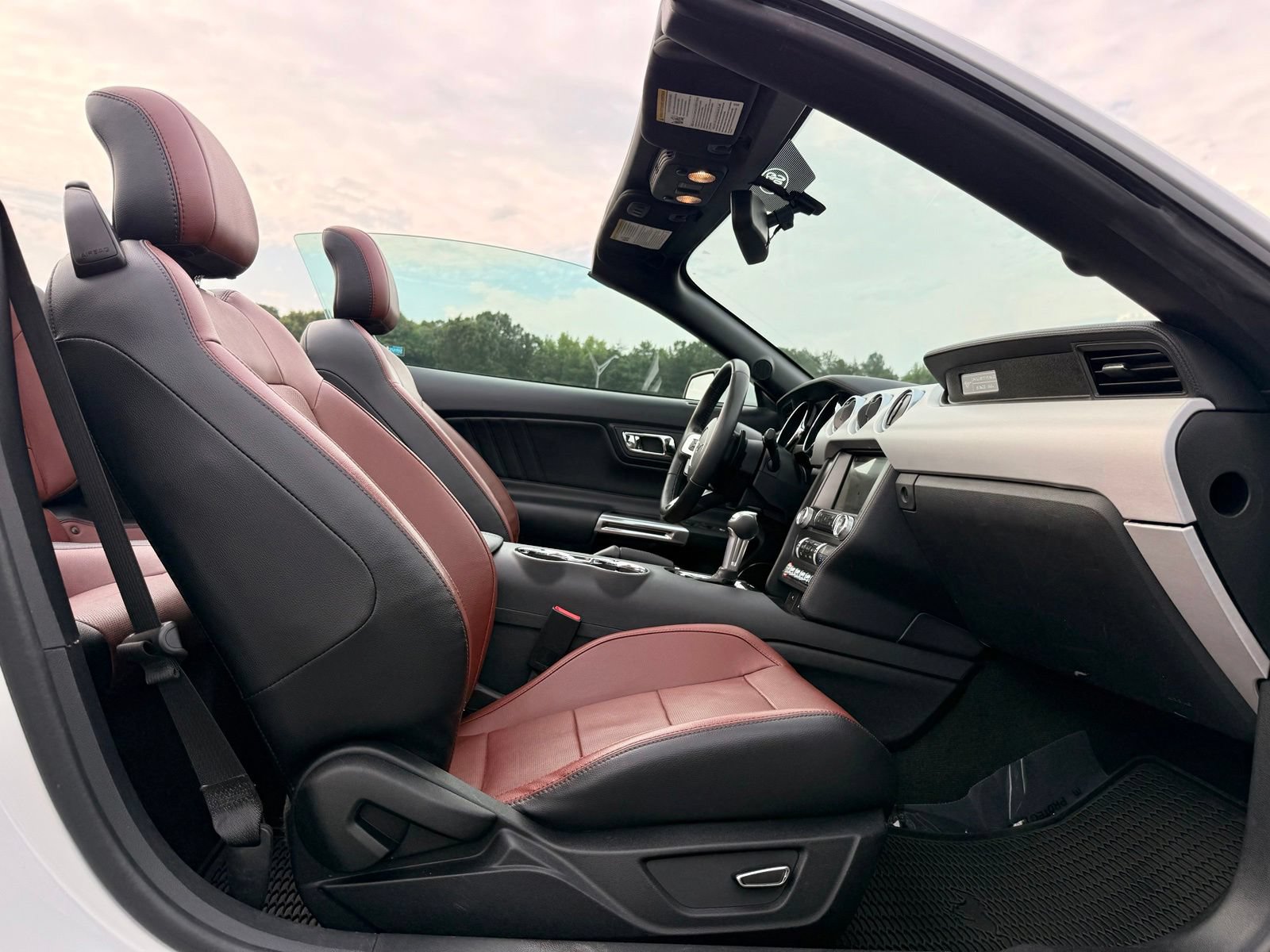 Used 2017 Ford Mustang Premium w/ Equipment Group 201A RWD image 23