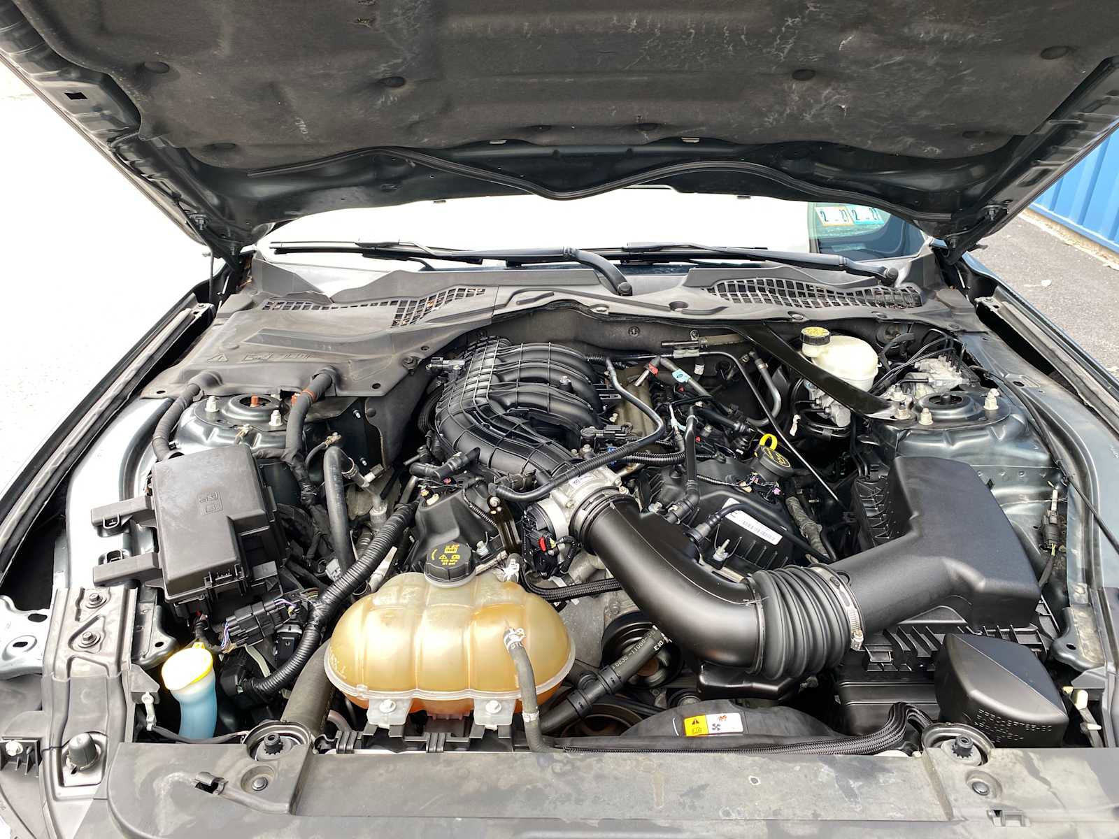 Used 2015 Ford Mustang Convertible image 5