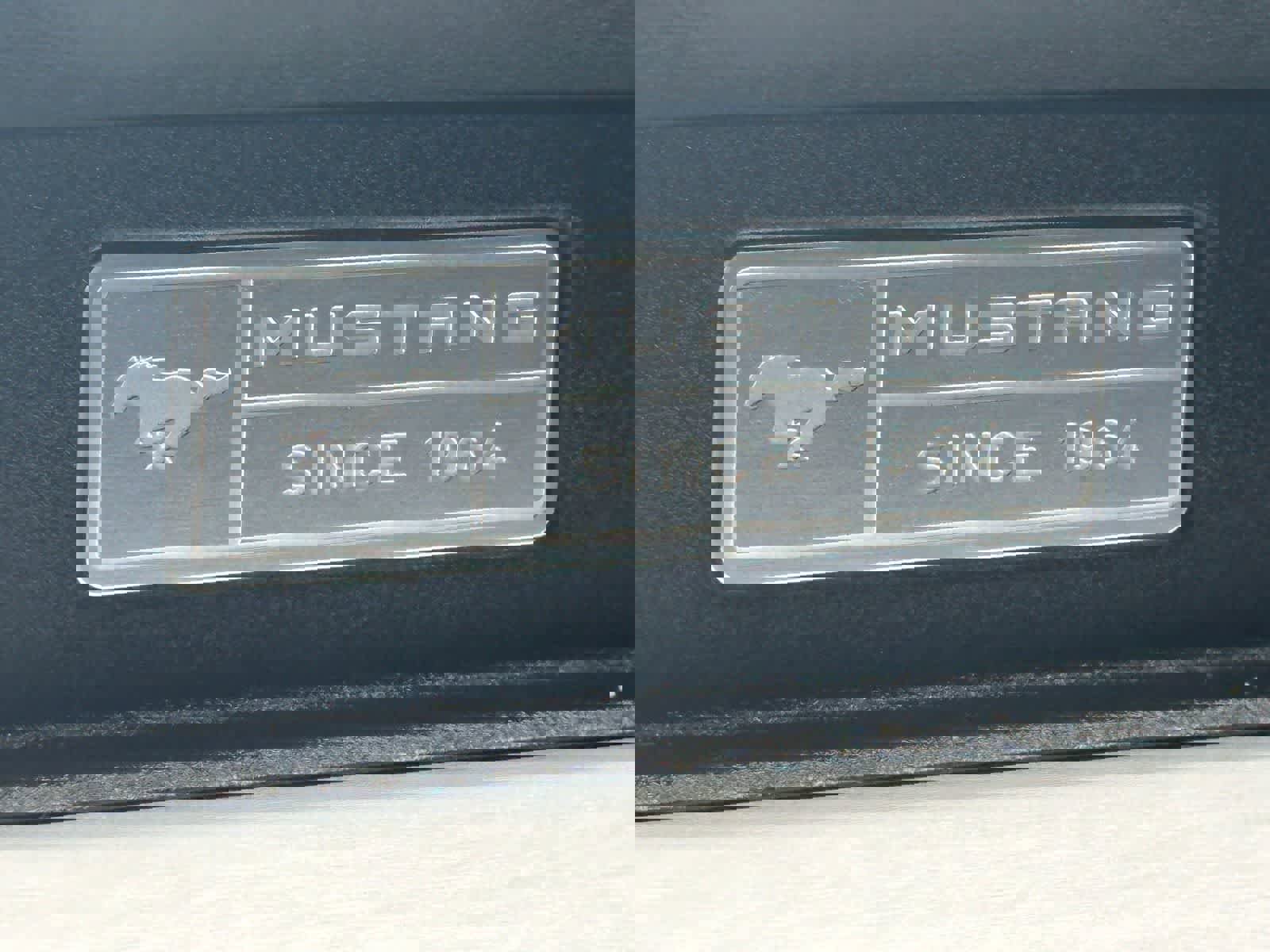 Used 2015 Ford Mustang Premium w/ Equipment Group 201A RWD image 22